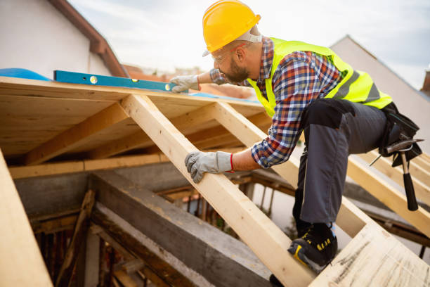 Best Roof Gutter Cleaning  in Graceville, FL